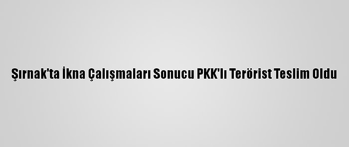 Şırnak'ta İkna Çalışmaları Sonucu PKK'lı Terörist Teslim Oldu