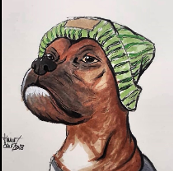 kedisinin mutfak tezgahina cikmasini engellemek icin dahiyane bir yontem bulan adam