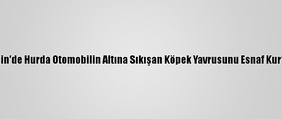 Mersin'de Hurda Otomobilin Altına Sıkışan Köpek Yavrusunu Esnaf Kurtardı