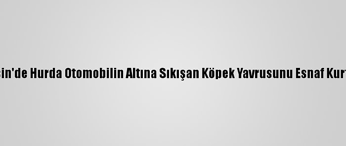 Mersin'de Hurda Otomobilin Altına Sıkışan Köpek Yavrusunu Esnaf Kurtardı