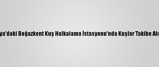 Antalya'daki Boğazkent Kuş Halkalama İstasyonu'nda Kuşlar Takibe Alınıyor