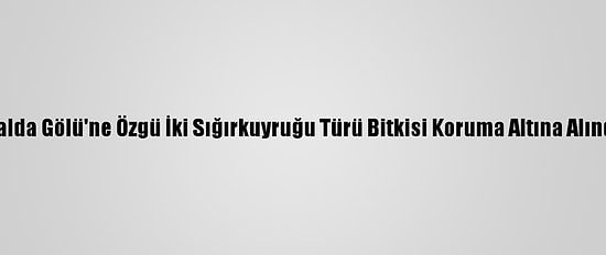 Salda Gölü'ne Özgü İki Sığırkuyruğu Türü Bitkisi Koruma Altına Alındı