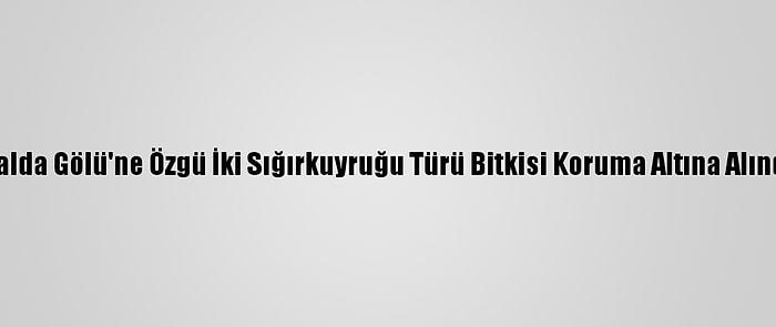 Salda Gölü'ne Özgü İki Sığırkuyruğu Türü Bitkisi Koruma Altına Alındı