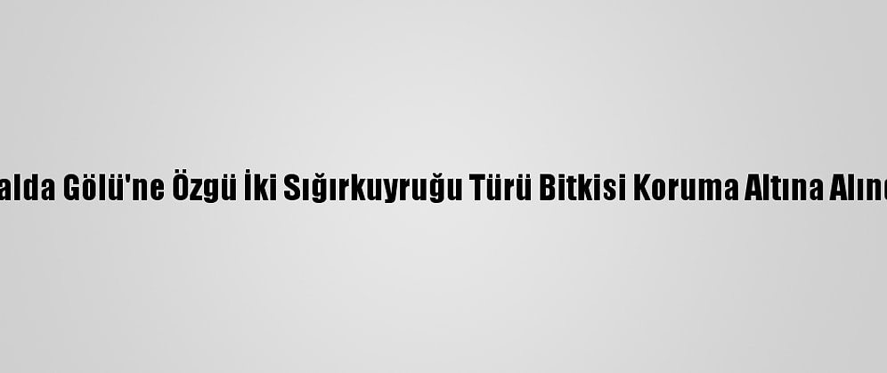 Salda Gölü'ne Özgü İki Sığırkuyruğu Türü Bitkisi Koruma Altına Alındı