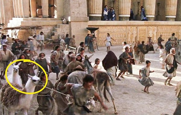 3. Что делают ламы в фильме «Троя», если учесть, что они никогда не жили в этих местах?