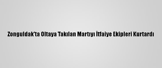 Zonguldak'ta Oltaya Takılan Martıyı İtfaiye Ekipleri Kurtardı
