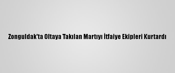 Zonguldak'ta Oltaya Takılan Martıyı İtfaiye Ekipleri Kurtardı