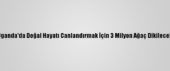 Uganda'da Doğal Hayatı Canlandırmak İçin 3 Milyon Ağaç Dikilecek
