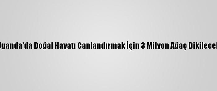 Uganda'da Doğal Hayatı Canlandırmak İçin 3 Milyon Ağaç Dikilecek