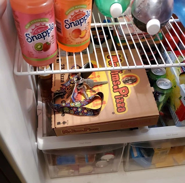 Anahtarlarını buzdolabına koyan bu hamile kadın: