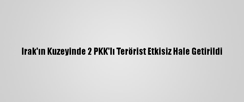 Irak'ın Kuzeyinde 2 PKK'lı Terörist Etkisiz Hale Getirildi
