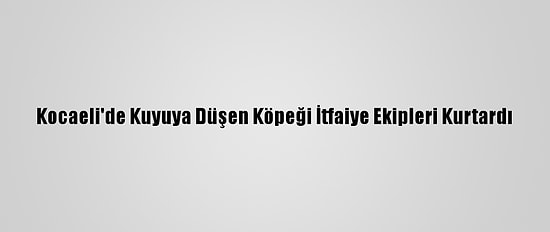 Kocaeli'de Kuyuya Düşen Köpeği İtfaiye Ekipleri Kurtardı