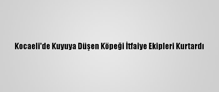 Kocaeli'de Kuyuya Düşen Köpeği İtfaiye Ekipleri Kurtardı
