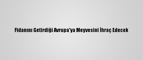 Fidanını Getirdiği Avrupa'ya Meyvesini İhraç Edecek