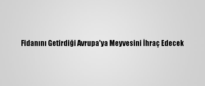 Fidanını Getirdiği Avrupa'ya Meyvesini İhraç Edecek