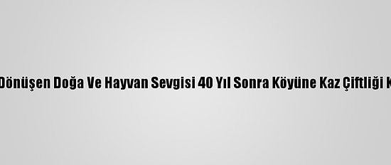 Tutkuya Dönüşen Doğa Ve Hayvan Sevgisi 40 Yıl Sonra Köyüne Kaz Çiftliği Kurdurdu