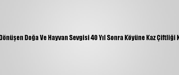 Tutkuya Dönüşen Doğa Ve Hayvan Sevgisi 40 Yıl Sonra Köyüne Kaz Çiftliği Kurdurdu