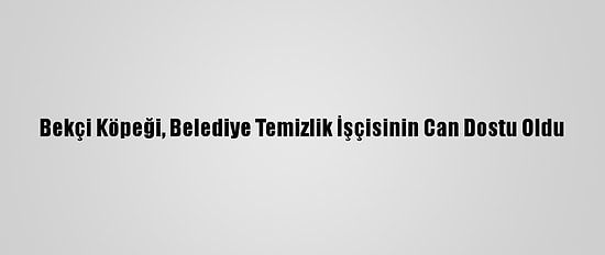 Bekçi Köpeği, Belediye Temizlik İşçisinin Can Dostu Oldu