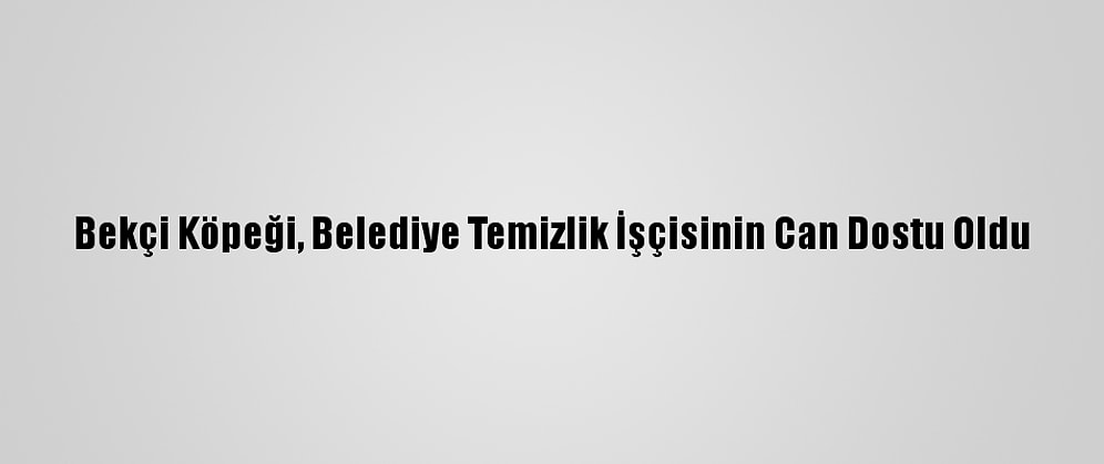 Bekçi Köpeği, Belediye Temizlik İşçisinin Can Dostu Oldu