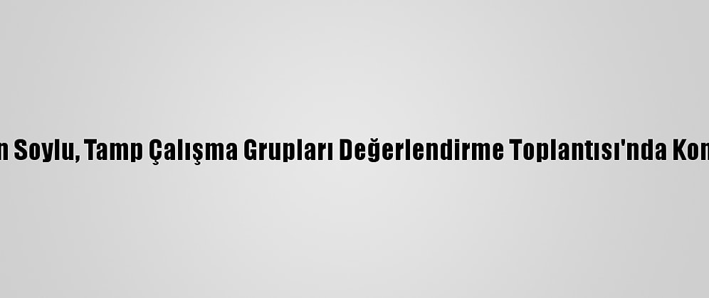 Bakan Soylu, Tamp Çalışma Grupları Değerlendirme Toplantısı'nda Konuştu: