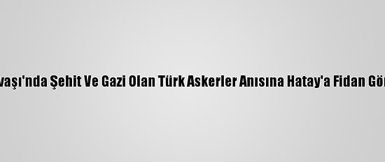 Kore Savaşı'nda Şehit Ve Gazi Olan Türk Askerler Anısına Hatay'a Fidan Gönderildi