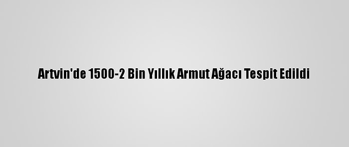 Artvin'de 1500-2 Bin Yıllık Armut Ağacı Tespit Edildi