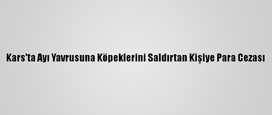 Kars'ta Ayı Yavrusuna Köpeklerini Saldırtan Kişiye Para Cezası
