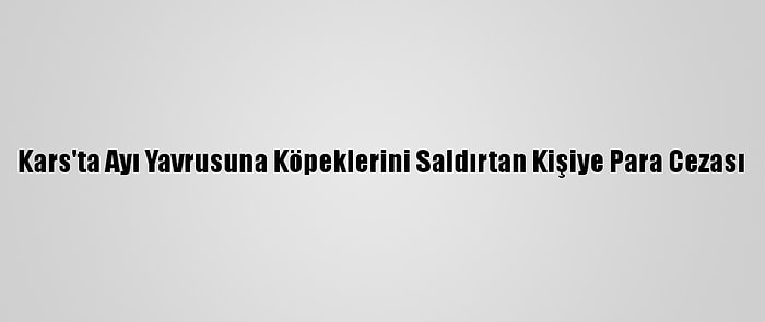 Kars'ta Ayı Yavrusuna Köpeklerini Saldırtan Kişiye Para Cezası