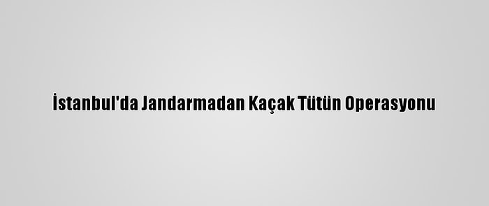 İstanbul'da Jandarmadan Kaçak Tütün Operasyonu
