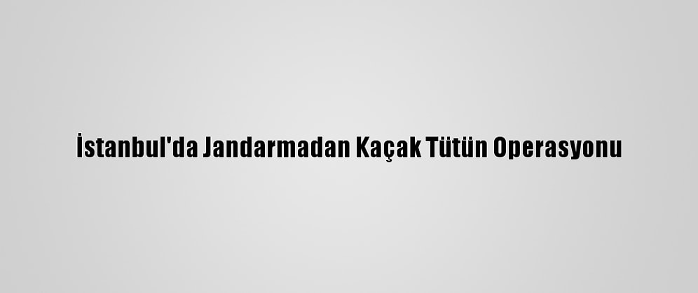 İstanbul'da Jandarmadan Kaçak Tütün Operasyonu