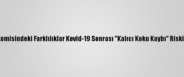 Burun Anatomisindeki Farklılıklar Kovid-19 Sonrası "Kalıcı Koku Kaybı" Riskini Artırıyor