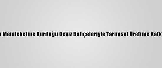 Annesinin Memleketine Kurduğu Ceviz Bahçeleriyle Tarımsal Üretime Katkı Sağlıyor