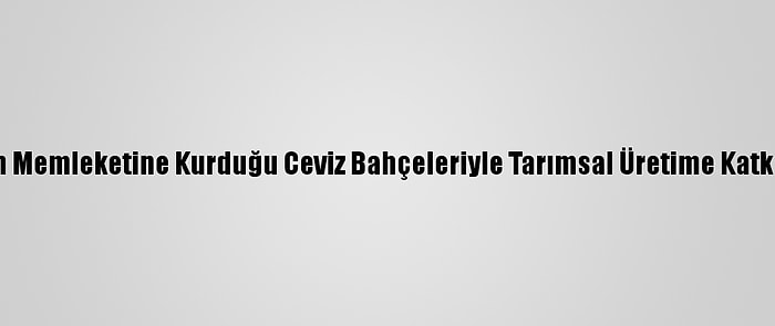 Annesinin Memleketine Kurduğu Ceviz Bahçeleriyle Tarımsal Üretime Katkı Sağlıyor