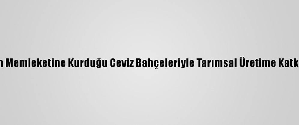 Annesinin Memleketine Kurduğu Ceviz Bahçeleriyle Tarımsal Üretime Katkı Sağlıyor