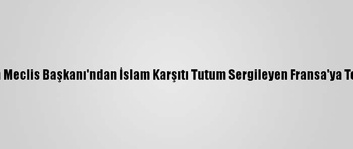 İran Meclis Başkanı'ndan İslam Karşıtı Tutum Sergileyen Fransa'ya Tepki