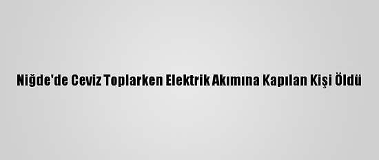 Niğde'de Ceviz Toplarken Elektrik Akımına Kapılan Kişi Öldü