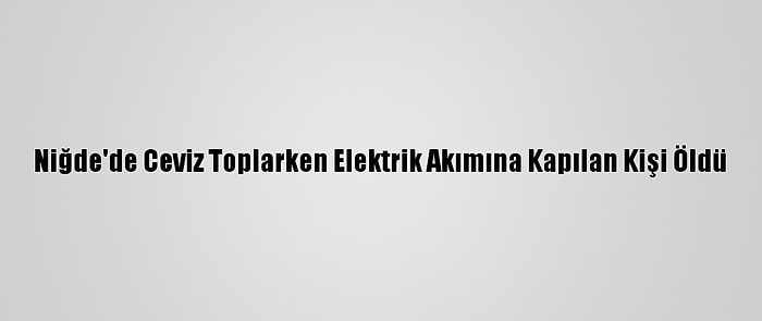 Niğde'de Ceviz Toplarken Elektrik Akımına Kapılan Kişi Öldü