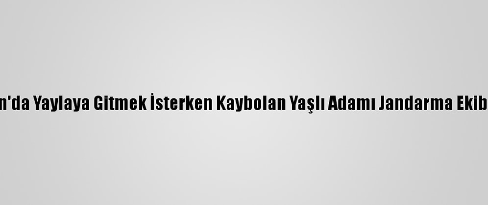 Giresun'da Yaylaya Gitmek İsterken Kaybolan Yaşlı Adamı Jandarma Ekibi Buldu