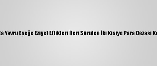 Kars'ta Yavru Eşeğe Eziyet Ettikleri İleri Sürülen İki Kişiye Para Cezası Kesildi