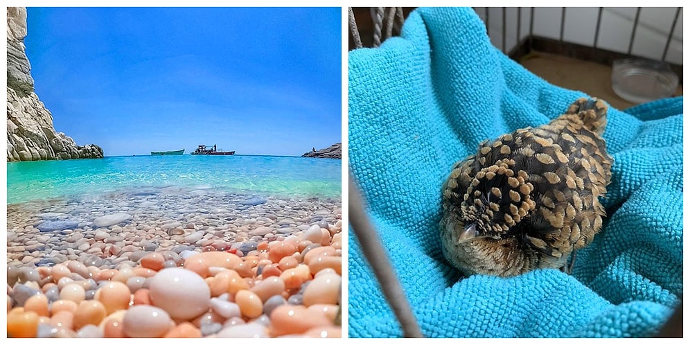 25 фото, на которых запечатлено совсем не то, что подумал ваш мозг (Часть 1)