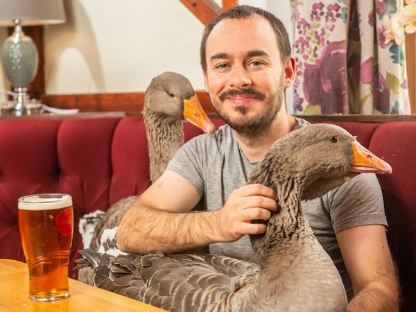 1. Познакомьтесь со Свеном Кирби из Лидса, что на севере Великобритании...и его весьма незаурядными домашними животными - гусями!