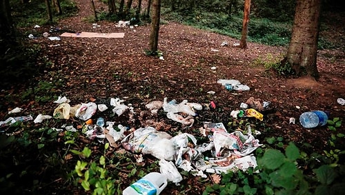 Belgrad Ormanı'nda Bitmeyen Vandallık: Ortalık Çöpten Geçilmiyor