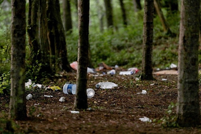 Belgrad Ormanı'nda Bitmeyen Vandallık: Ortalık Çöpten Geçilmiyor