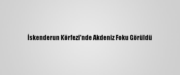 İskenderun Körfezi'nde Akdeniz Foku Görüldü