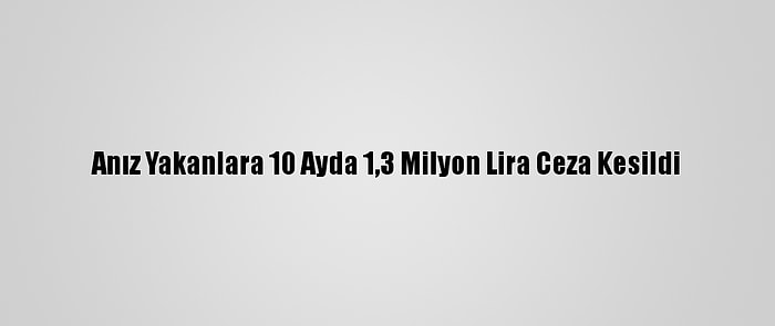 Anız Yakanlara 10 Ayda 1,3 Milyon Lira Ceza Kesildi