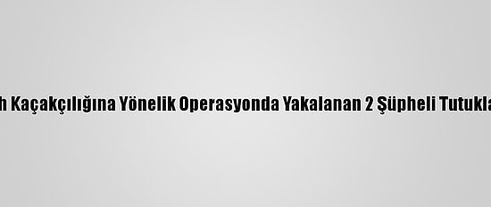 Silah Kaçakçılığına Yönelik Operasyonda Yakalanan 2 Şüpheli Tutuklandı