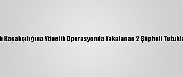 Silah Kaçakçılığına Yönelik Operasyonda Yakalanan 2 Şüpheli Tutuklandı