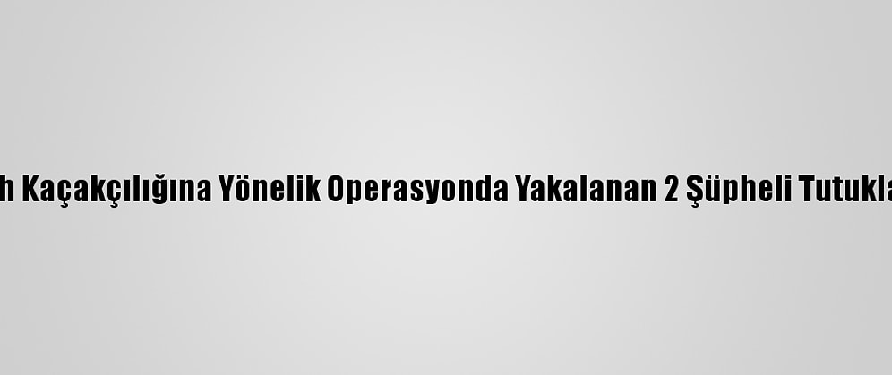 Silah Kaçakçılığına Yönelik Operasyonda Yakalanan 2 Şüpheli Tutuklandı