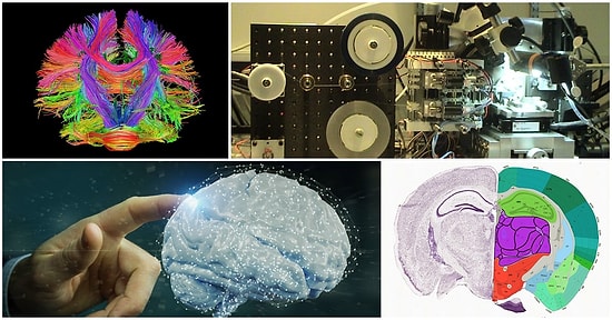 Uğur Batı Yazio: İnsan Beyninin Sırrı Çözülebilir mi?
