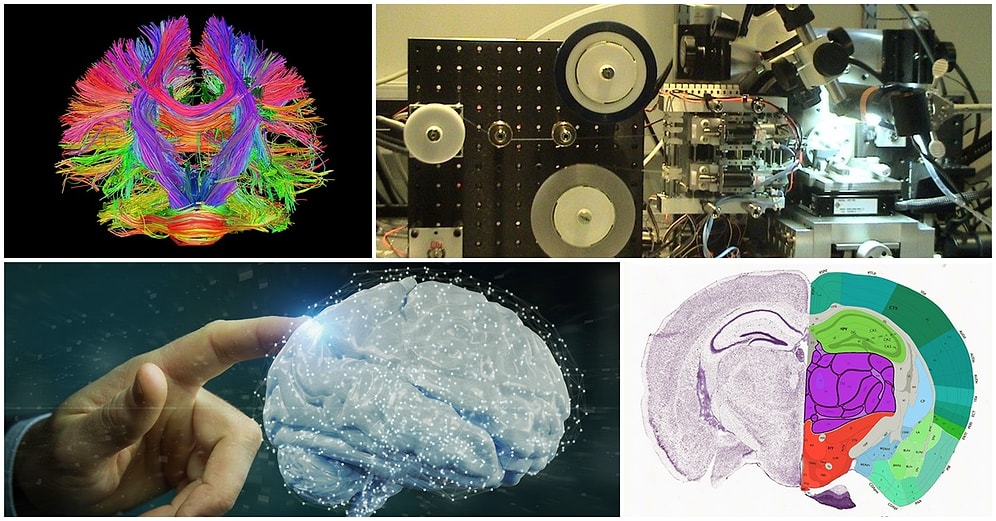 Uğur Batı Yazio: İnsan Beyninin Sırrı Çözülebilir mi?